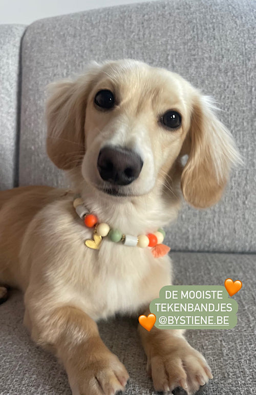 Handmade anti-tick necklace