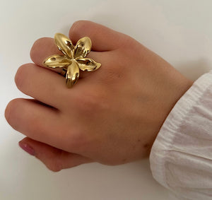 Nicolette Ring Gold