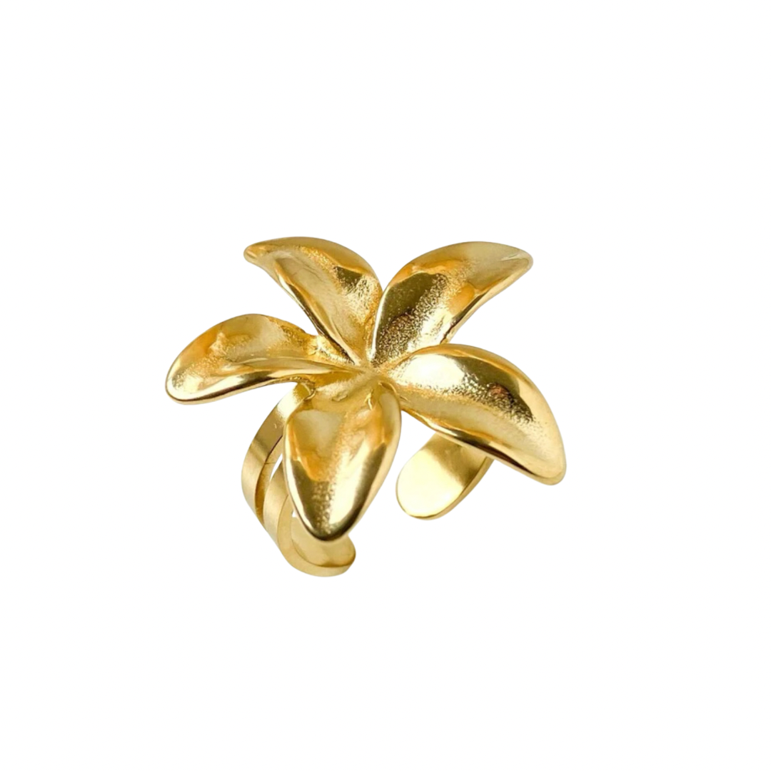 Nicolette Ring Gold