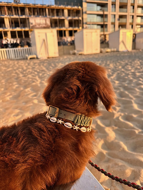 Handmade Dogs Shell Necklace Beige