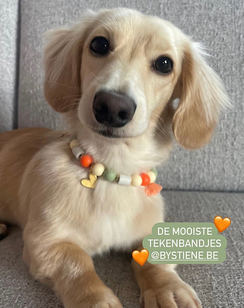 Handmade anti-tick necklace