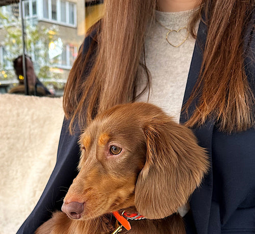 Big Heart Necklace Gold